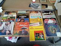 Full lot overview showing two rows of LPs on table