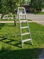 Full view of aluminum stepladder on grass