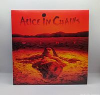 Front cover of Alice in Chains Dirt LP