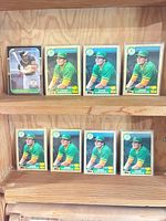 Full view of all eight sleeved cards on shelf