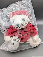 White teddy bear in plastic packaging