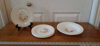 Overview of all seven Arcopal plates and bowls on table