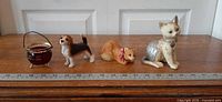 Group view of all four items beside ruler for scale