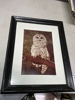 Full view of framed owl photograph