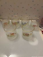 Front view of six frosted floral tumblers