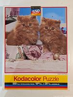 Front of sealed puzzle box showing kittens image and branding