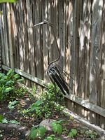 Full view of metal heron/crane sculpture against wooden fence showing rock base and surrounding garden