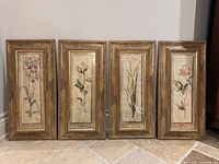 Four framed botanical prints standing side by side