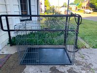 Full view of metal wire dog crate with tray inside