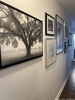 Side view of hallway showing multiple framed tree prints