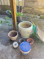 Group shot showing large glazed planter, terracotta pots, concrete pot, fertilizer bucket and assorted small pots