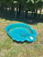Full view of teal turtle-shaped wading pool on grass