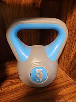 Front view showing gray body, blue handle, weight badge 5 LB