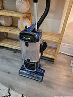 Front view of Shark Navigator upright vacuum showing blue body, clear dust cup and base