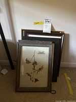 Stack of five framed reproduction prints showing mixed frame styles and visible botanical dragonfly print