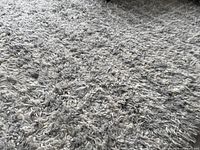 Close view of shag pile texture and coloration