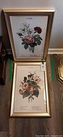Both framed botanical prints on floor showing images, titles and frames