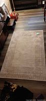 Full view of cream/beige rug on floor showing border pattern and approximate size