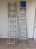 Both ladders standing side by side for full view