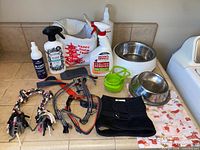 Overview of all dog accessories on countertop