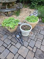 Two beige ceramic planters with succulents, gray concrete planter, four solar stake lights on paving stone patio