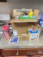 Overall view of open box showing assorted bulb packages and loose bulbs