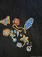 Group shot of brooches, earrings and bracelet on black background