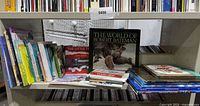 Shelf showing entire grouping of children’s, picture and art books
