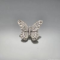 front view of silver-tone butterfly brooch