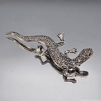 Full view of lizard brooch