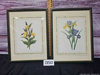 Both framed prints side by side with ruler for scale