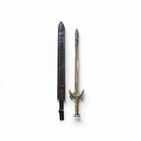 Sword beside sheath showing full length and accessories