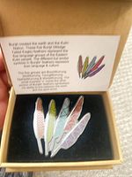 Open box showing five enamel feather pins on black foam
