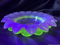 Top view showing opalescent pink petals and clear center