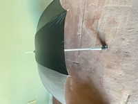 Umbrella open showing black exterior and silver interior panels