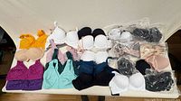 Full layout of all bras showing color range and some sealed items