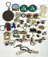 Full lot layout showing all pins, keychains, tie tacks and ghost figure