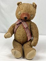 Full front view of teddy bear standing/sitting