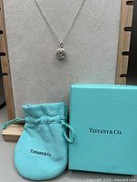 Necklace on display with Tiffany box and pouch