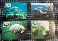 Set of four dugong maximum cards displayed