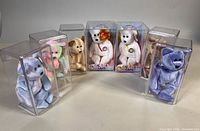 Group shot of all seven Beanie Babies in display cases
