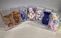 Seven Ty Beanie Baby bears in display cases arranged in semicircle