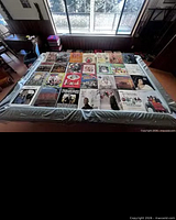 Overall view of roughly 30 vinyl LP records laid out in rows