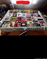 Wide view of all vinyl LPs laid out on table
