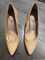 Top view of both pumps showing textured nude upper and pointed toe