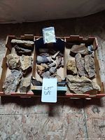Entire lot of petrified wood fragments in three cardboard sections with info card visible