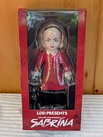 Front view of sealed Sabrina doll in retail box
