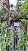 Top section of wrought iron gate showing pointed finial and MaxSold sticker