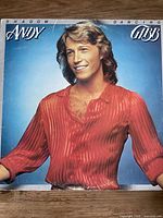 Front cover of Andy Gibb Shadow Dancing LP