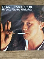 Front cover of David Wilcox My Eyes Keep Me In Trouble LP